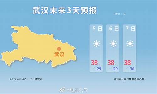 武汉天气预报24小时天查询结果_武汉天气