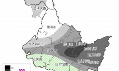 大庆市天气预报一周10天_黑龙江省大庆市天气预报15天