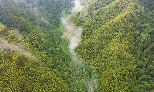 株洲炎陵天气_株洲炎陵天气预报一周七天查询