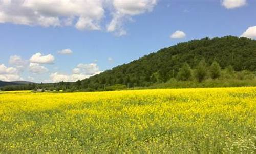 天气预报阿荣旗天气预_阿荣旗天气预报一周