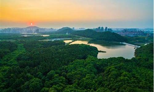 江夏区过去一周天气记录查询_江夏区近几天天气预报