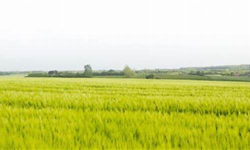 今天息县天气预报_今天息县天气预报